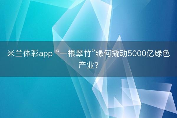 米兰体彩app “一根翠竹”缘何撬动5000亿绿色产业？