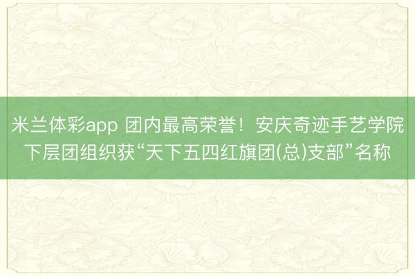 米兰体彩app 团内最高荣誉！安庆奇迹手艺学院下层团组织获“天下五四红旗团(总)支部”名称