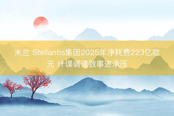 米兰 Stellantis集团2025年净耗费223亿欧元 计谋调遣致事迹承压