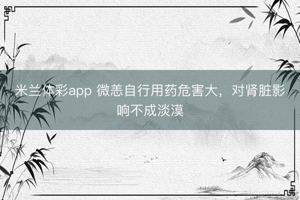 米兰体彩app 微恙自行用药危害大,对肾脏影响不成淡漠