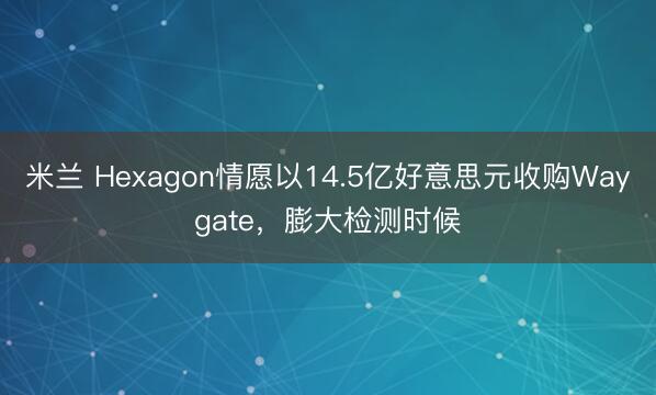 米兰 Hexagon情愿以14.5亿好意思元收购Waygate，膨大检测时候